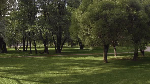 Aerial View in a Beautiful Park in St