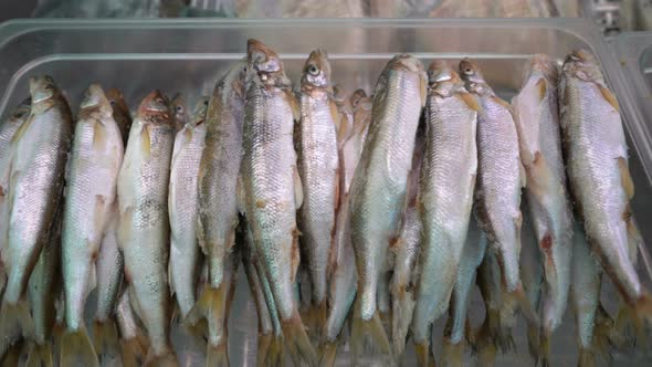 View on Lot of Frozen Smelt Fish on Counter at Seafood Market