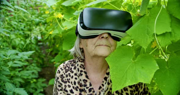 Old Woman in Virtual Reality Glasses is Standing in the Middle of Greenery in a Greenhouse