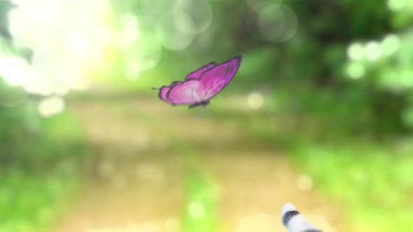 Beautiful Butterfly on the Forest Trail Lands on the Robot's Hand