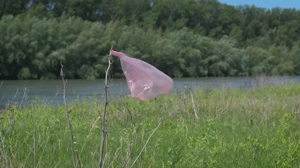 Cellophane Nature Pollution Concept.