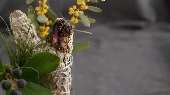 Dried White Sage Smudge Stick, Relaxation and Aromatherapy. Smudging During Psychic Occult Ceremony