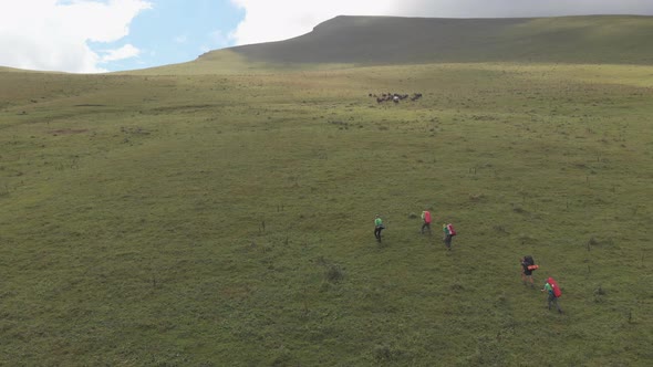 Drone Shot of a Group of Tourists Climbs the Mountain