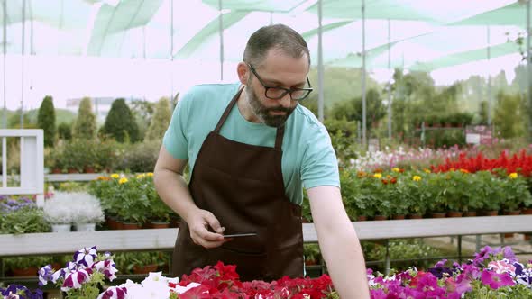 Serious Male Gardener Shooting Potted Plants on Mobile Phone