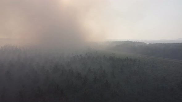 Haze at plantation due to burning