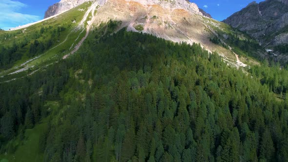 Lush green alpine woodland forest at base of South Tyrol Plose Peitlerkofel sunny mountain valley sl