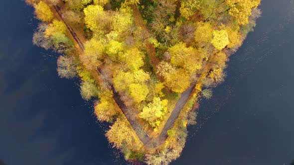 Aerial top down view of autumn forest with green and yellow trees. Mixed deciduous and coniferous fo