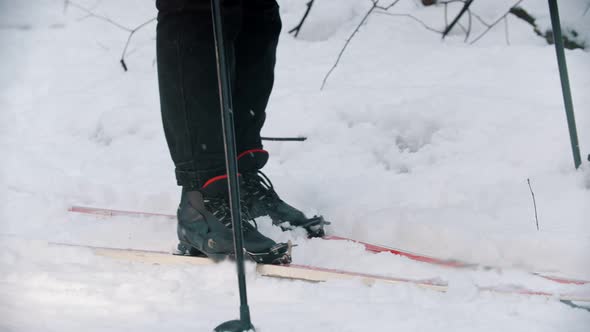 A Woman Trying To Ski in the Woods