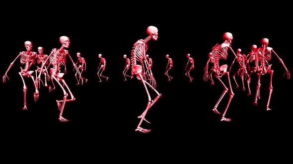 Skeletons 3D Animation