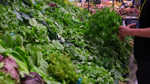 Bunch of Healthy Green Leaves Lettuce Cale Spinach Salad Beet Microgreens on the Food Market Indoors