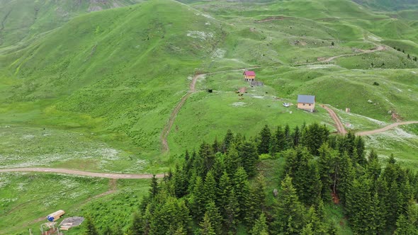 Flying Above Small Coniferous Woodland In Highland Countryside