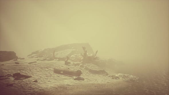 Rocky Cliff with Sand Beach in Deep Fog