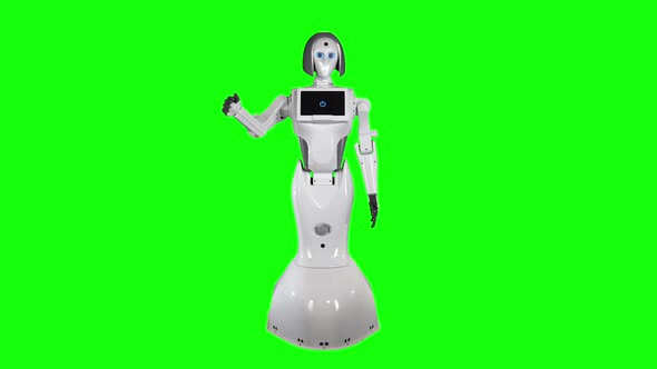 Robot Tilts Its Body and Puts Its Arms in Front of It. Green Screen
