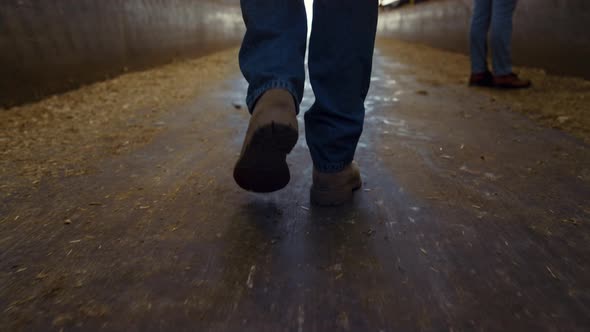 Closeup Farmer Boots Strolling Wooden Shed Aisle