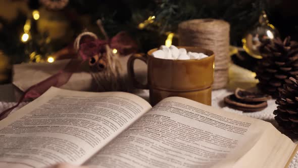 Reading a Book for Christmas alt