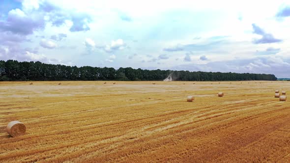 Countryside landscape with hay. Wheat yellow golden harvest in summer