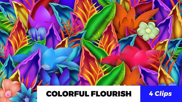 Colorful Flourish