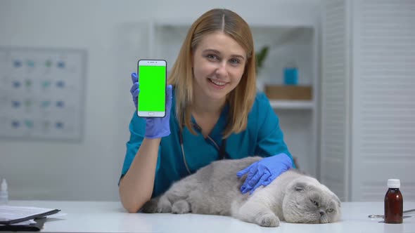 Smiling Vet With Lazy Cat Showing Smartphone, Pet Health Checkup Record Online