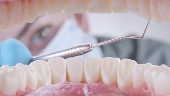 Dentist Inspects Patient's Teeth with Probe and Mirror
