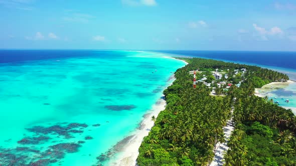 Aerial top down travel of relaxing coast beach wildlife by transparent ocean and white sand backgrou