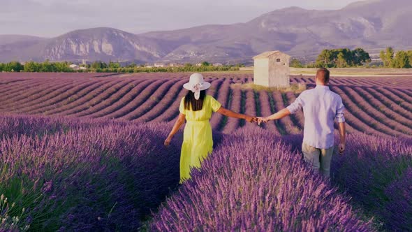 Provence Lavender Field France Valensole Plateau Colorful Field of Lavender Valensole Plateau