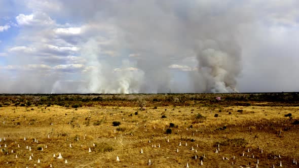 Smoke pollutes the skies above the Brazilian Pantanal as deforestation fires destroy nature's balanc