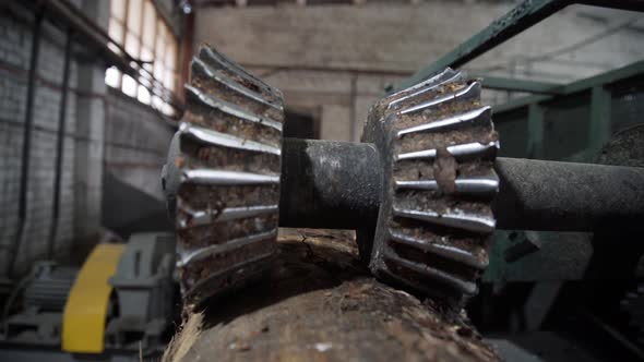 Processing of Round Timber Logs for Building Wooden House. Removing Bark From Logs Using a Machine