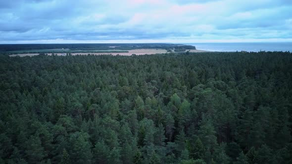 Coastline Baltic Sea Jurkalne Summer  Day After Storm. Aerial View Latvia Jurkalne Seashore Bluffs