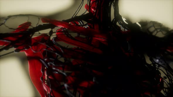 Human Skeleton Bones Scan Glowing alt