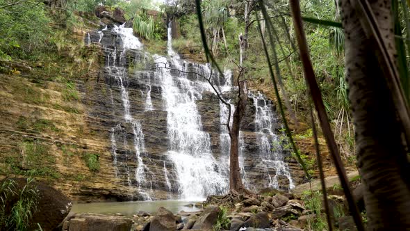 Tarzan Fall in Guam