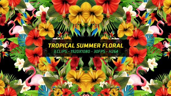 Tropical Summer Floral 3 in 1