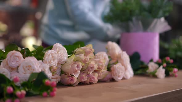 Row of Pink Roses Lying on Wooden Table with Blurred Unrecognizable Woman Composing Bouquet at