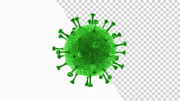 Corona Virus Visualization Covid 19 V2