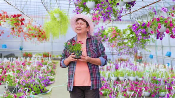 Front View Florist Aged Woman Stands in Greenhouse Among Indoor Flowers in Pots