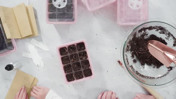 Flat lay. Planting seeds in seed propagator with soil.