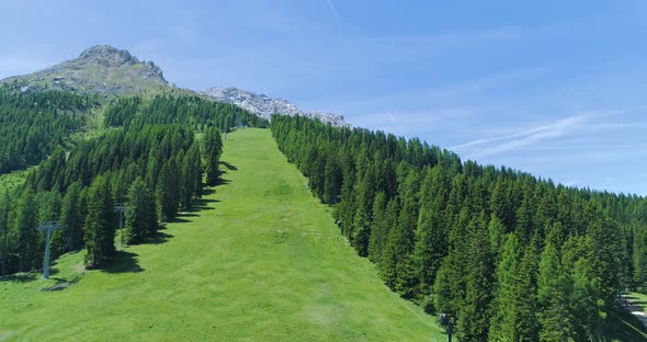 Moving Backward Away From Pine Woods Forest Along Green Ski Track in Mountain Summer