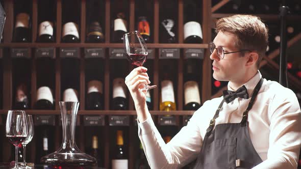 Wine Expert Holds a Glass of Wine, Looks at Tint and Smells Flavor, Degustating