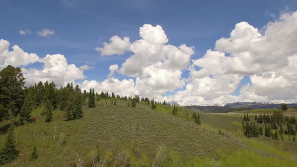 Flying backwards over forest with blue sky and white fluffy clouds