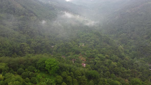 Aerial move over rural village of durian plantation