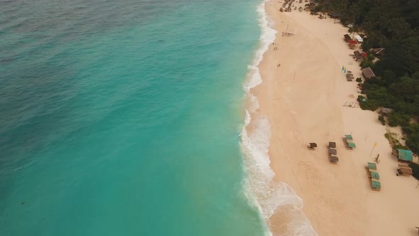 Tropical Sand Beach with Palm Trees