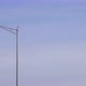 Plane Lands Near a Hawk Perched on a Light Post - VideoHive Item for Sale