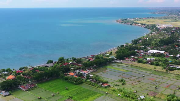 shoreline beach with rice fields near Lovina in north bali on sunny day, aerial