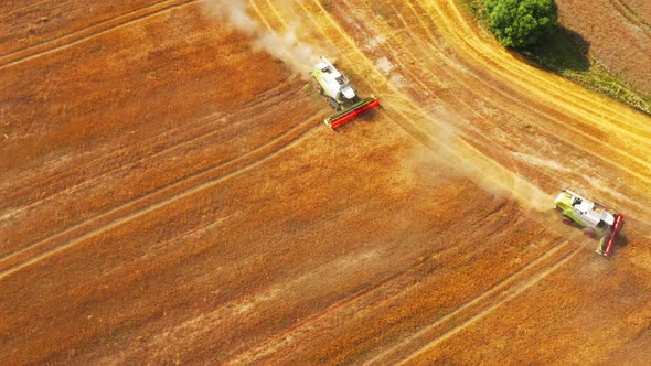 Combine Harvester Wheat Field Aerial Season