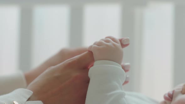 Closeup Details Young Mother Hands Holding a Cute