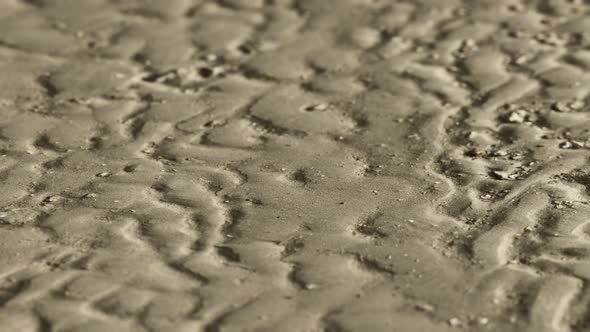 Lines in the Sand of a Beach