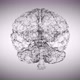 Brain Rotation - VideoHive Item for Sale