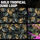 Tropical Background 4Clip Loop - VideoHive Item for Sale