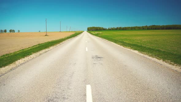 The road between rural fields in spring