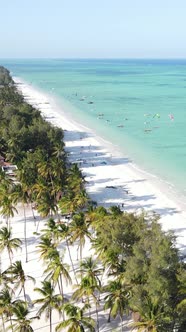 Vertical Video Boats in the Ocean Near the Coast of Zanzibar Tanzania