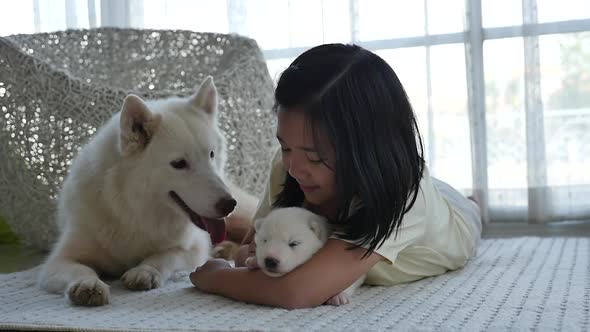 Beautiful Asian Girl Lying With Siberian Husky Puppy